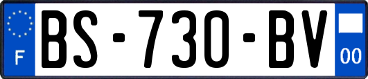 BS-730-BV