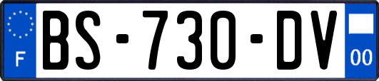 BS-730-DV