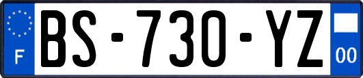 BS-730-YZ