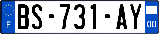 BS-731-AY