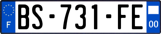 BS-731-FE