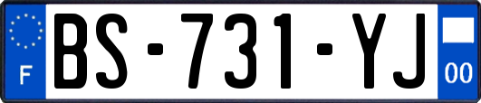 BS-731-YJ