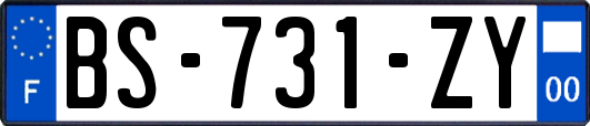 BS-731-ZY