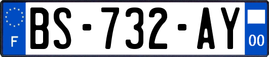 BS-732-AY