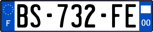 BS-732-FE