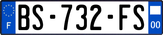 BS-732-FS
