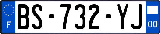BS-732-YJ