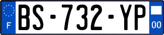 BS-732-YP