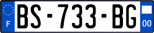 BS-733-BG