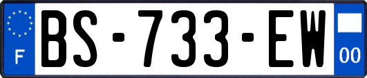 BS-733-EW