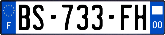 BS-733-FH