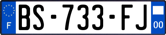 BS-733-FJ