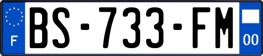 BS-733-FM