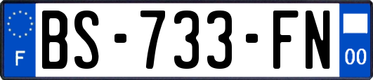 BS-733-FN