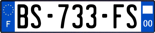 BS-733-FS