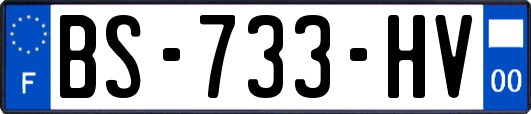 BS-733-HV