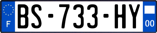 BS-733-HY