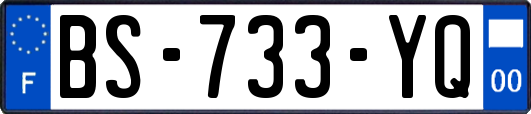 BS-733-YQ