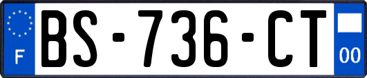 BS-736-CT