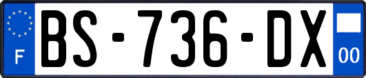 BS-736-DX