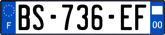 BS-736-EF