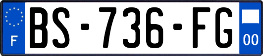 BS-736-FG