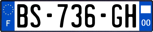 BS-736-GH