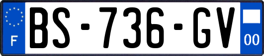 BS-736-GV