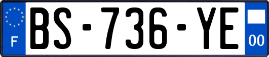 BS-736-YE