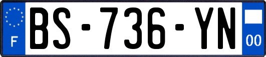 BS-736-YN
