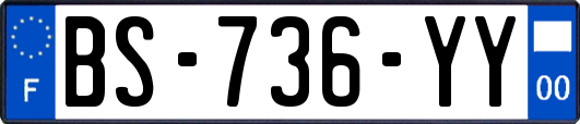 BS-736-YY