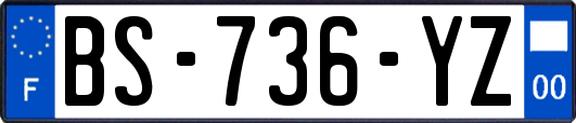 BS-736-YZ