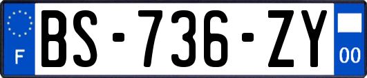 BS-736-ZY