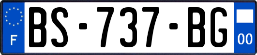 BS-737-BG