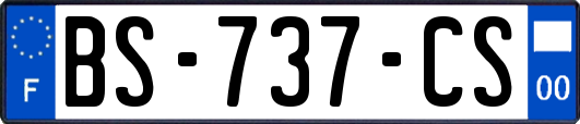 BS-737-CS