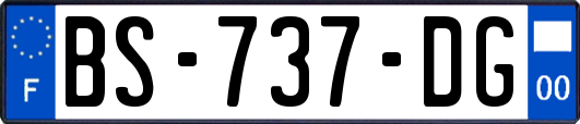 BS-737-DG