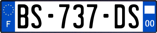 BS-737-DS