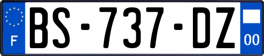 BS-737-DZ