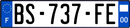 BS-737-FE