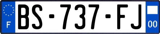 BS-737-FJ