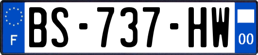 BS-737-HW