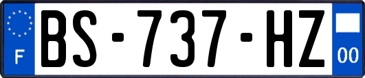 BS-737-HZ