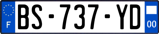 BS-737-YD