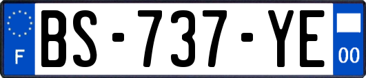 BS-737-YE