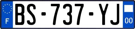 BS-737-YJ