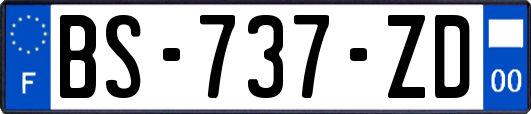 BS-737-ZD