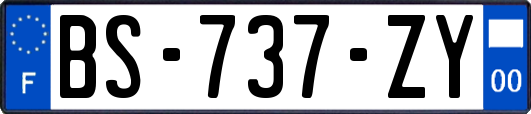 BS-737-ZY