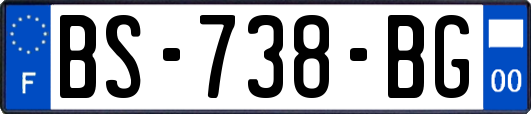 BS-738-BG