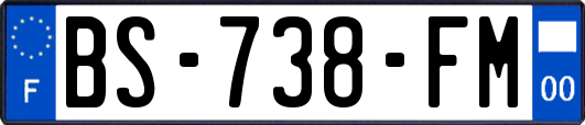 BS-738-FM