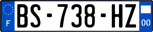 BS-738-HZ